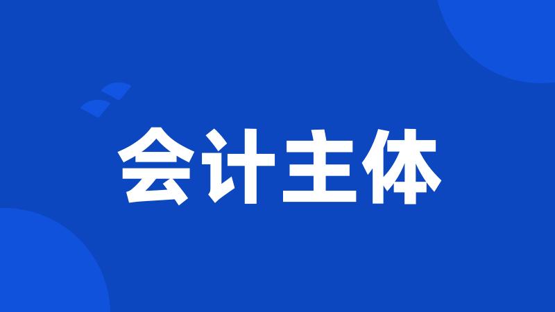 会计主体