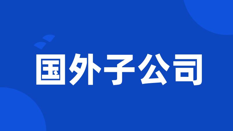 国外子公司