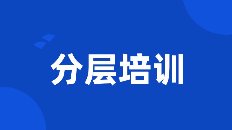 分层培训