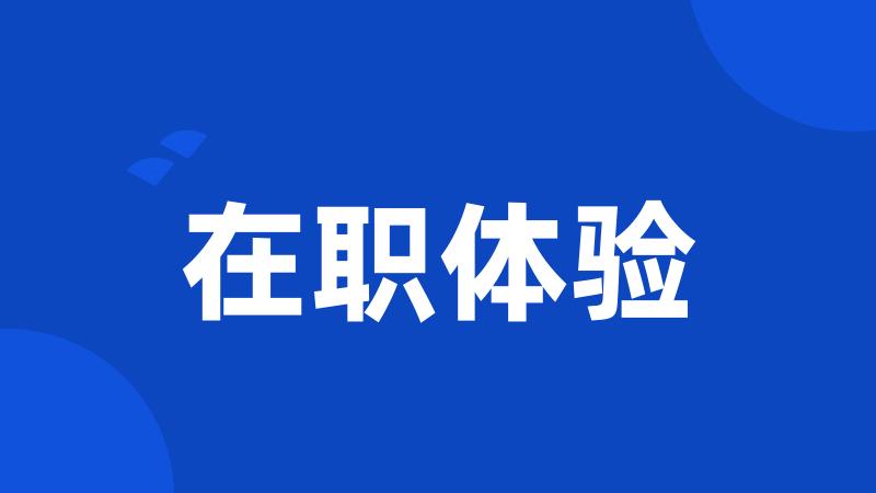 在职体验