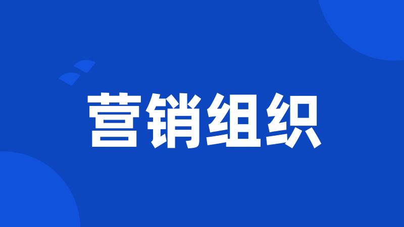 营销组织
